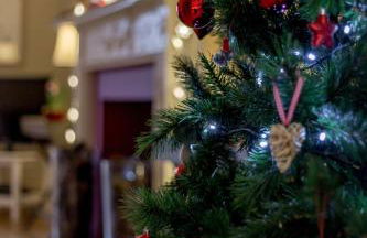 Home Farm Cottage - Foto 39