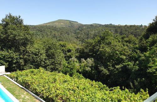 Quinta da Vinha Velha - Foto 22