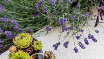 Waterview apartments (Tui Apartment) - Foto 2