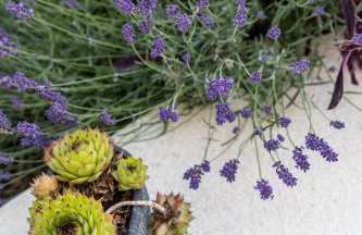 Waterview apartments (Tui Apartment) - Photo 2