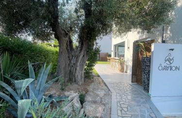 Olvion Luxury Living - Foto 58