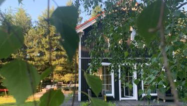 Między Brzozami - Foto 2, Garden