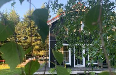 Między Brzozami - Foto 2