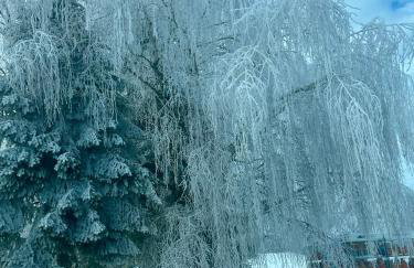 Green House kuća s 4 spavaće sobe - Foto 29