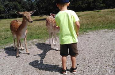 Ferienhaus zur Weinlaube - Foto 23