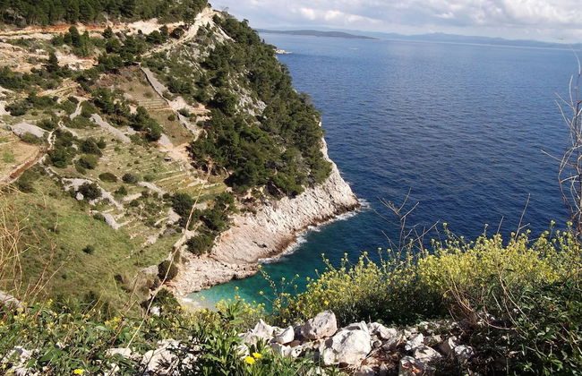 House Pod Humom - Foto 50