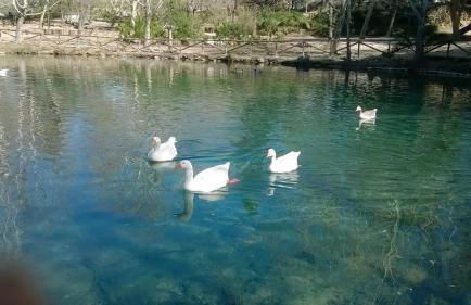 La Casa de la Cascada - Foto 38