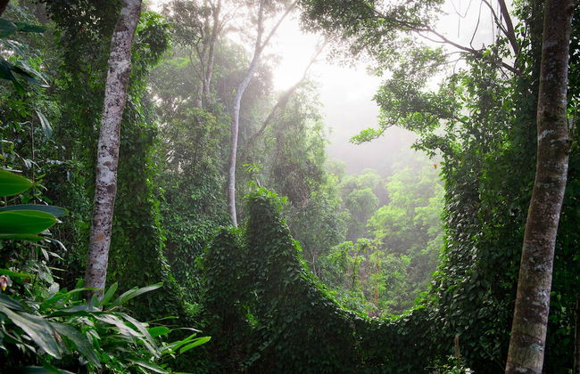 Sharlynn by the River - Foto 25