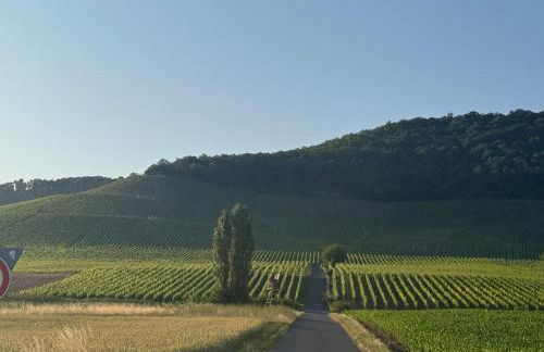 Horizont-360-Grad - Foto 1