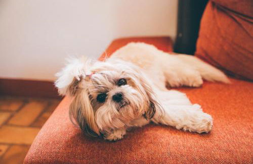 Molino la Nava - Foto 49