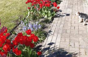 Ferienwohnung am Schlosssee. - Foto 16