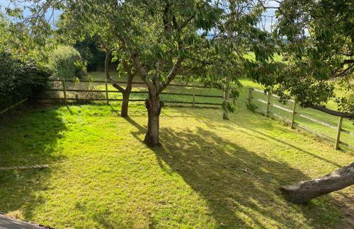 Stunning studio flat with dedicated private garden - Photo 24