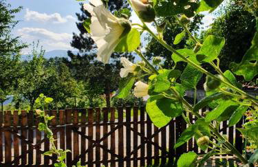 Czerwony Dworek 8 - Agroturystyka Karkonosze - Foto 22