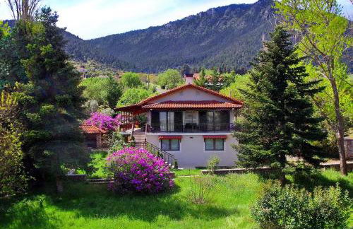 Villa Arcadia - Foto 1