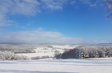 Ferienwohnung Flöhatalblick - Foto 36