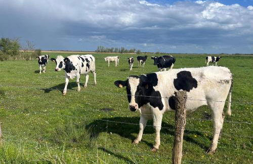 Gîtes de la Mouette - Le Sauticot 4-5 personnes - Foto 22
