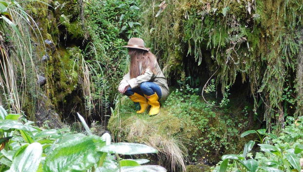 Immerse yourself in lush nature