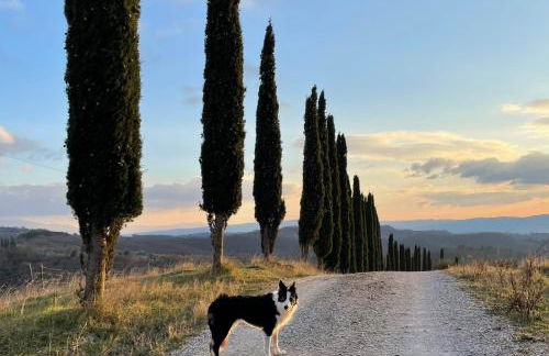 Il Giardino degli Ulivi - Foto 19