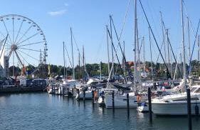 Bücherträume - Foto 23