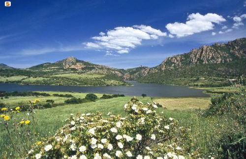 Casa vacanza Larimar azienda agricola rigenerativa naturale - Foto 16