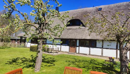 Reetmeer Apartments Spa & Reetdach am Salzhaff - Foto 2