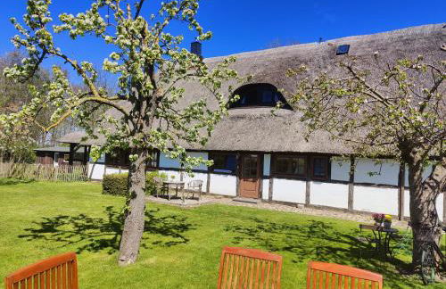 Reetmeer Apartments Spa & Reetdach am Salzhaff - Foto 2