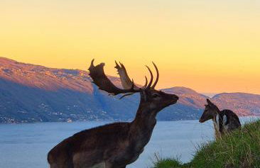 Residence Casa Silvana - Foto 15