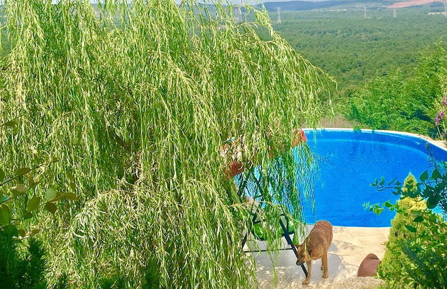 Villa Gudca - Foto 17