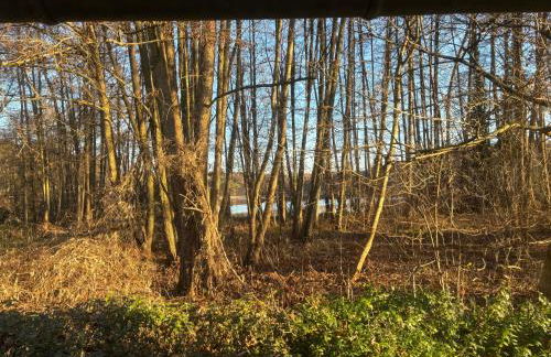 Behagliches Cottage am See - Foto 7