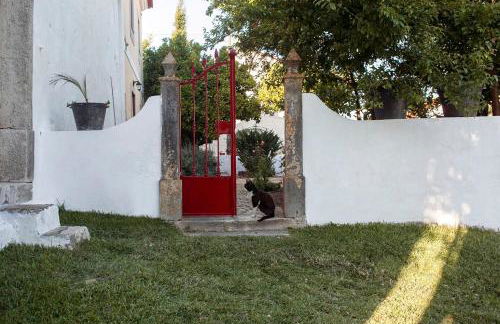 Casa das Alfazemas - Foto 38