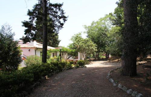 Tenuta Conte Ruggero - Foto 6