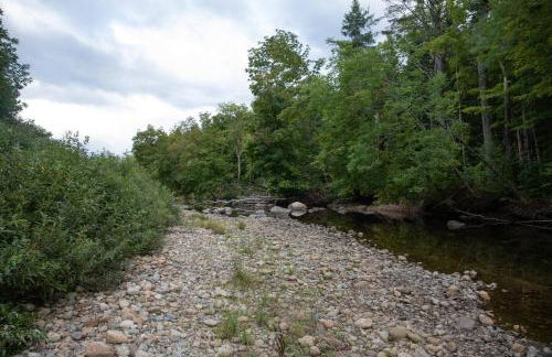 Cozy Luxury Cabin w Hot Tub, Fire Pit, King Bed - Foto 53