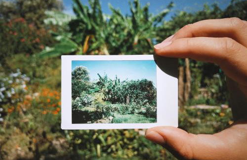 The Artist's Farm - Foto 68