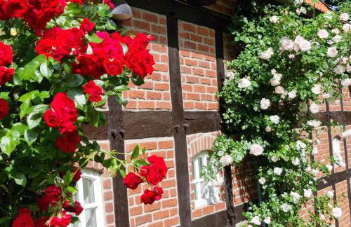 Gästehaus am Kattensteert - Foto 38