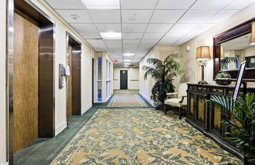 NEW Coastal 1BR at Palm Beach Hotel Condo - Foto 34