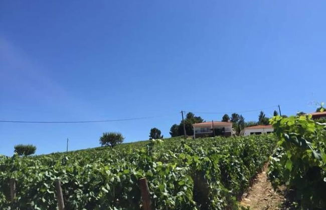 Quinta dos Espinheiros - Foto 37