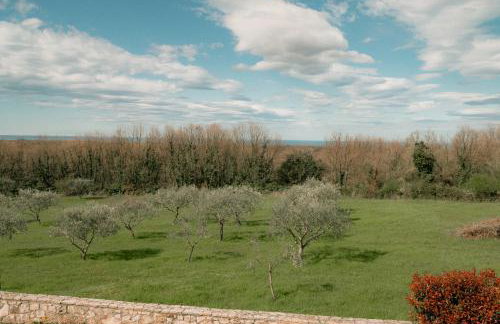 Villa Olivetta by Istrian Country Houses - Foto 41