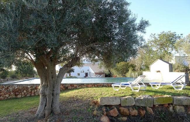 CIP V8 Gold - New!!! - Foto 38