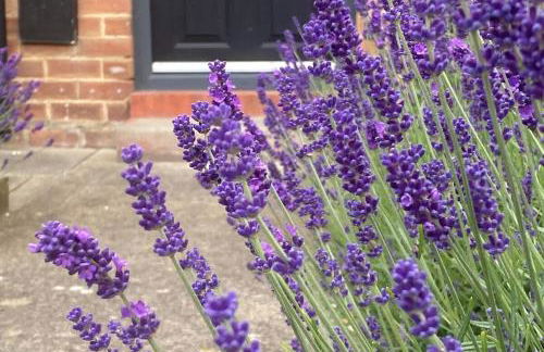 Hambleton Road - Foto 3