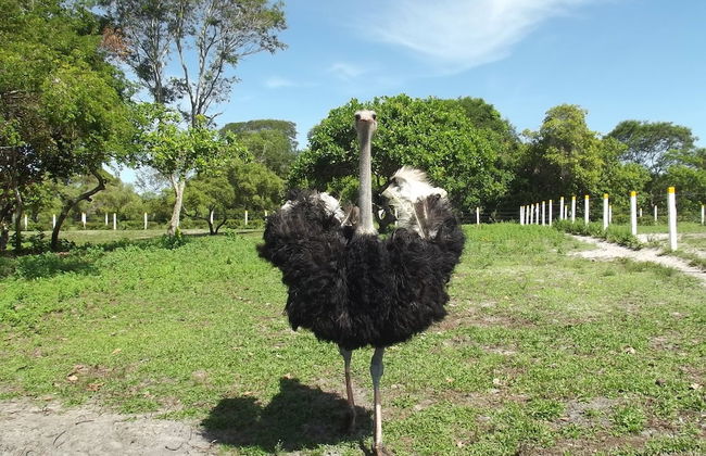 Hotel Fazenda Recanto - Foto 28