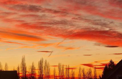 Haus Sonnenseite Wohnung Pfänder - Foto 28
