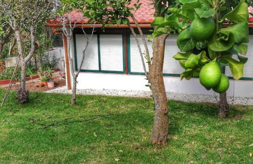 CASA RURAL LIMÓN Y SOL - Foto 31