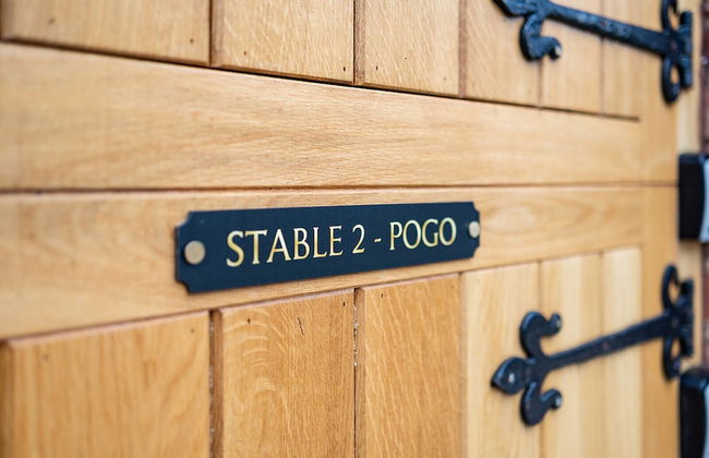 Eakley Stables - Pogo - Foto 8