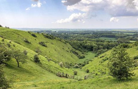 The Old School - Foto 19