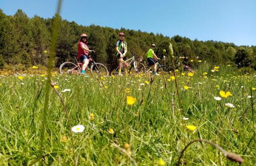 El nido del Mirlo - Foto 72