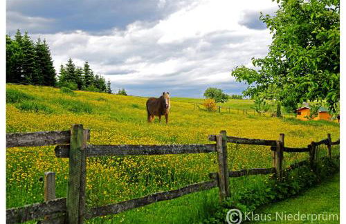 Ferienwohnung Welcome mit Seeblick - Foto 24