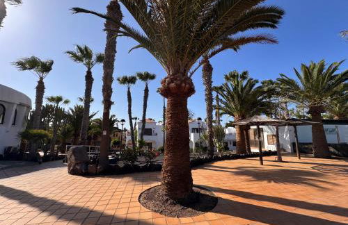 Oasis Jaylota - Foto 39