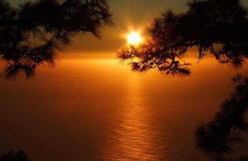 Villas Las Cercas - Photo 63