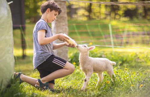 Körnermühle - Foto 2