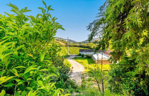 Quinta do Boição - Photo 29